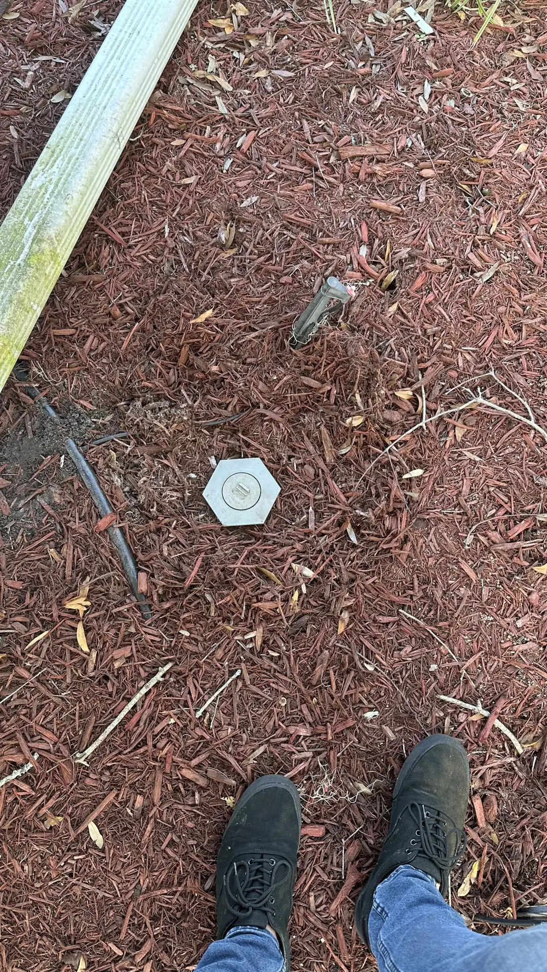 termite bait station near me