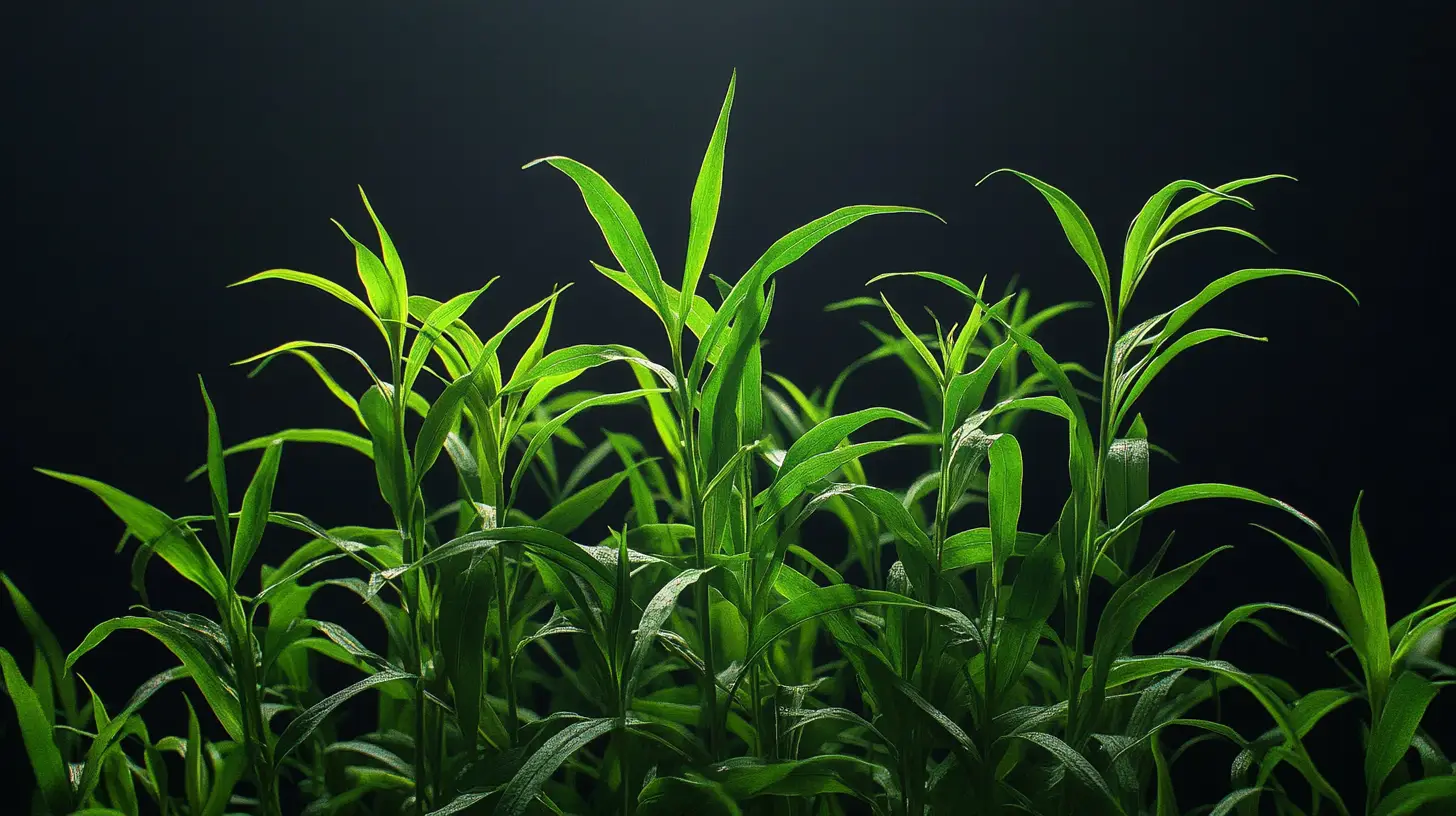 crabgrass weed removal near me png