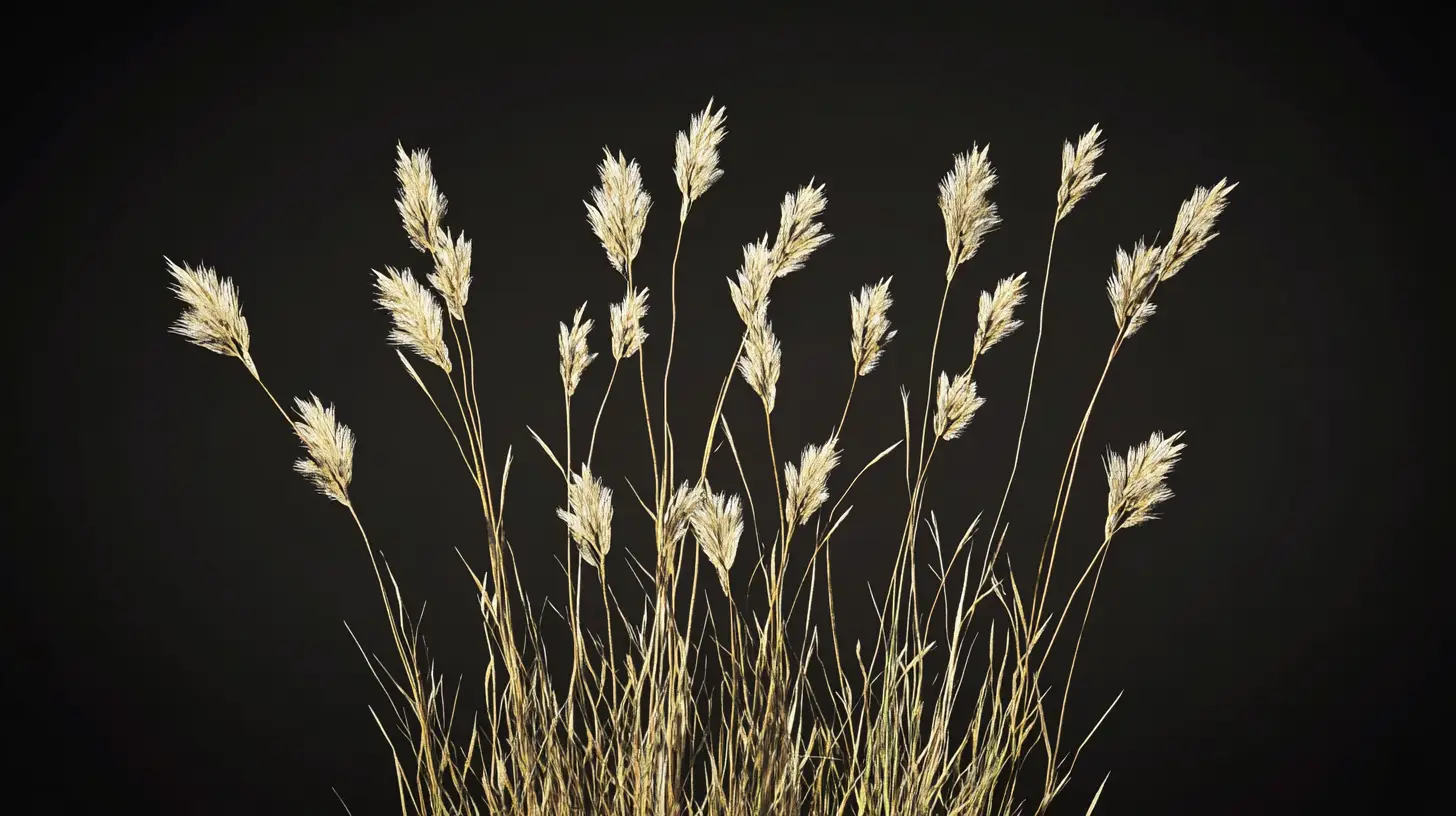 crowfoot grass weed removal near me png