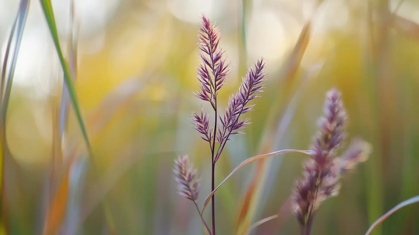 purple nutsedge cyperus weed removal near me png